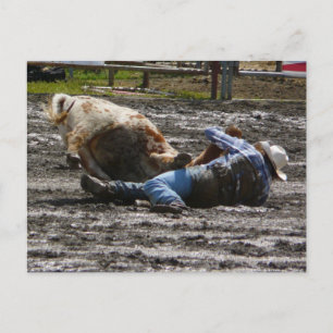Rodeo Cowboy Steer Wrestling Postkarte