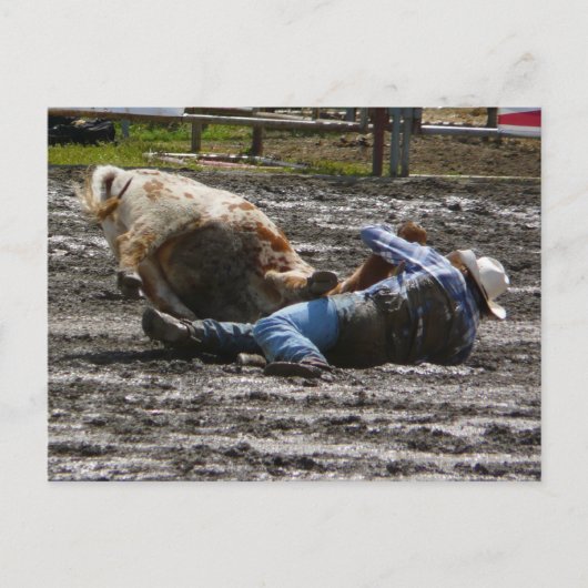 Rodeo Cowboy Steer Wrestling Postkarte (Vorderseite)