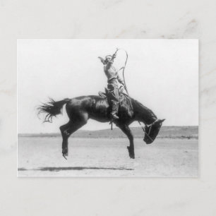 Rodeo Cowgirl auf dem Pferd Vintages Foto Postkarte