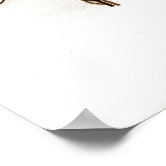 Rodeo Cowgirl Poster (Ecke)