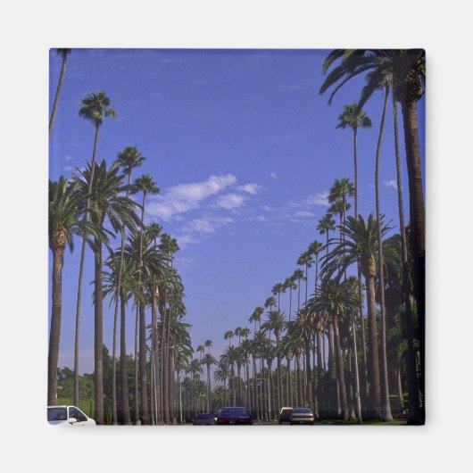 Rodeo Drive, Beverly Hills, Kalifornien Magnet (Vorne)