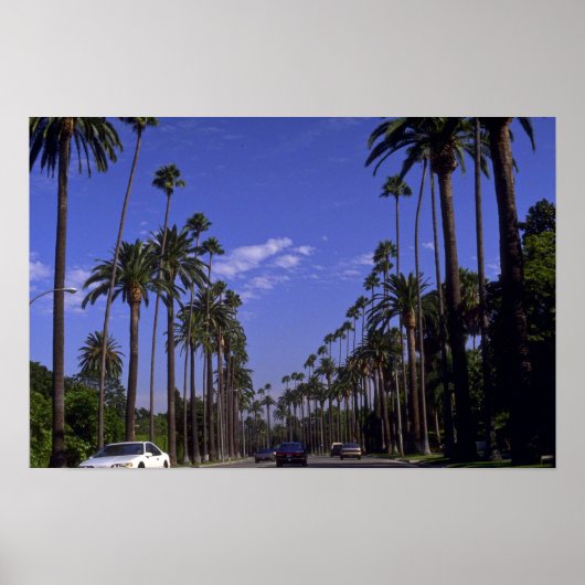 Rodeo Drive, Beverly Hills, Kalifornien Poster (Vorne)
