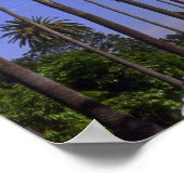 Rodeo Drive, Beverly Hills, Kalifornien Poster (Ecke)