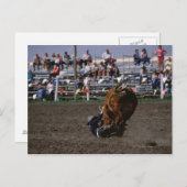 Rodeo-Fahrer, der vom Stier fällt Postkarte (Vorne/Hinten)