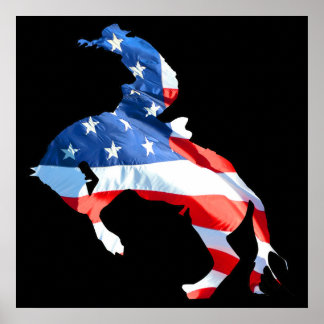 Rodeo ist Amerika - Bronco Riding Poster