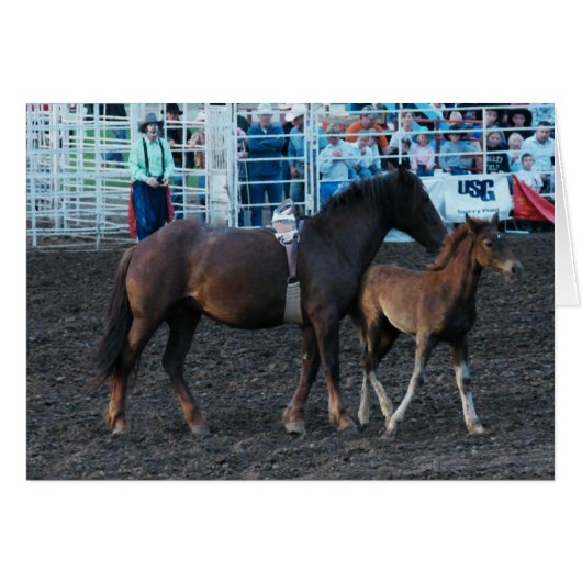 Rodeo Mare und Foal (Vorderseite (Horizontal))