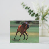 Rodeo-Pferd für den Cowboy Postkarte (Stehend Vorderseite)