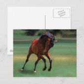 Rodeo-Pferd für den Cowboy Postkarte (Vorne/Hinten)