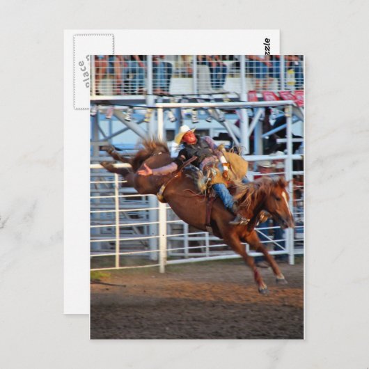 Rodeo! Postkarte (Vorne/Hinten)