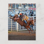 Rodeo! Postkarte (Vorderseite)