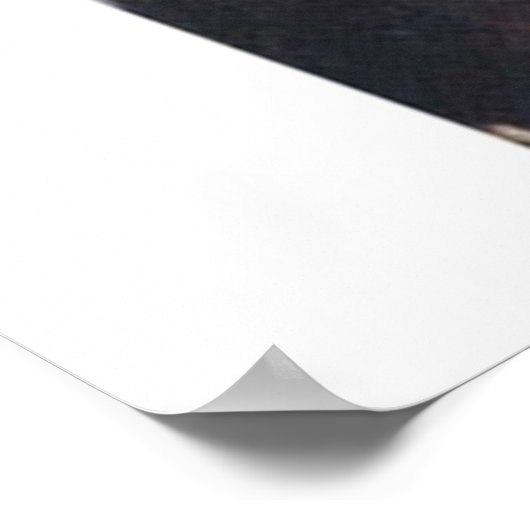 Rodman heute poster (Ecke)