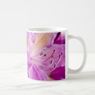 Rododendron Blume Tasse