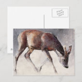 Roe Buck Winter 2000 Postkarte (Vorne/Hinten)