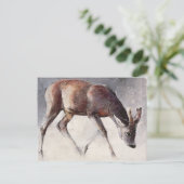 Roe Buck Winter 2000 Postkarte (Stehend Vorderseite)