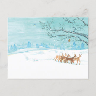Roe Deer Group im Winter Postkarte