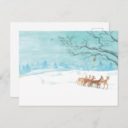 Roe Deer Group im Winter Postkarte (Vorne/Hinten)