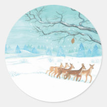 Roe Deer im Winter