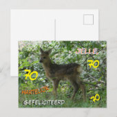 Roe Deer in Forrest Cust. Geburtstagskarte Postkarte (Vorne/Hinten)