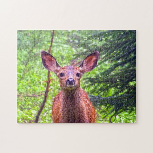 Roe Deer Montana. Puzzle (Horizontal)