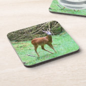 Roe Deer Stag Posing 6 Untersetzer Set (Linke Seite)