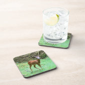 Roe Deer Stag Posing 6 Untersetzer Set (Rechte Seite)