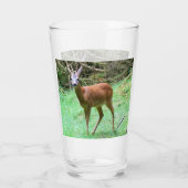 Roe Deer Stag Posing Glas (Rückseite)