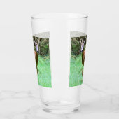 Roe Deer Stag Posing Glas (Links)
