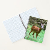 Roe Deer Stag Posing Notizblock (Innenseite)
