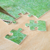 Roe Deer Stag Posing Puzzle (Seite)