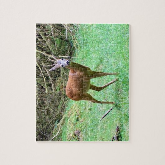 Roe Deer Stag Posing Puzzle (Vertikal)