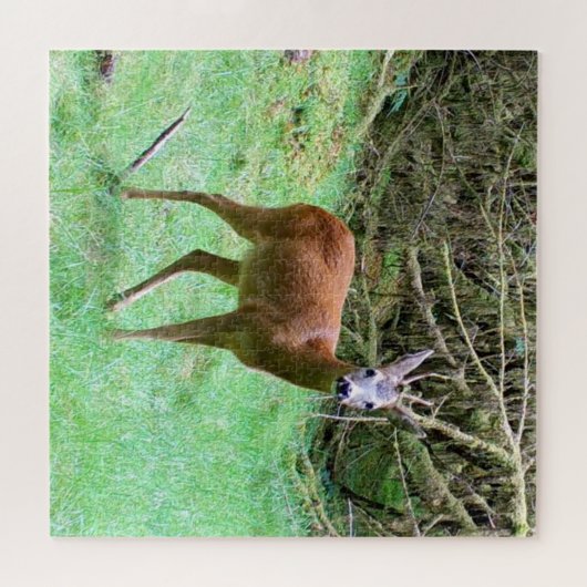 Roe Deer Stag Posing Puzzle (Horizontal)