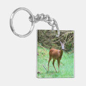 Roe Deer Stag Posing Schlüsselanhänger (Vorderseite links)