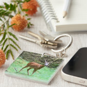 Roe Deer Stag Posing Schlüsselanhänger (Vorderseite rechts)