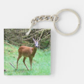 Roe Deer Stag Posing Schlüsselanhänger (Rückseite)