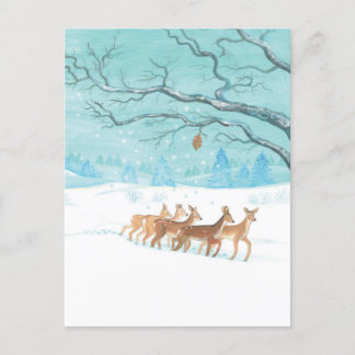 Roe Deer Winter Postkarte