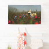 Roe in einem Wiese-Banner Banner (Insitu)