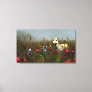 Roe in einer Wiese Canvas Print Leinwanddruck