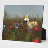 Roe in einer Wiese-Foto-Plaque Fotoplatte (Seite)