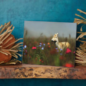 Roe in einer Wiese-Foto-Plaque Fotoplatte (Seite)