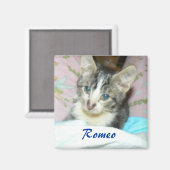 Roemo-Magnet Magnet (Vorderseite/Rückseite)