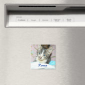 Roemo-Magnet Magnet (In Situ (Geschirrspüler))