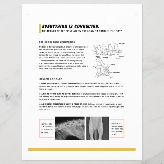 ROF-Blatt (Hunde) Flyer (Vorne)