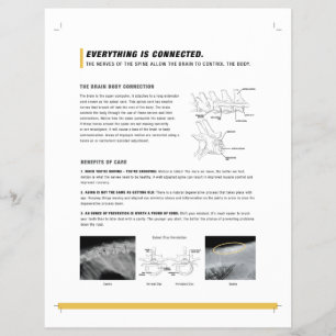 ROF-Blatt (Hunde + Pferde) Flyer