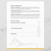 ROF-Flyer (equine) Flyer (Hinten)