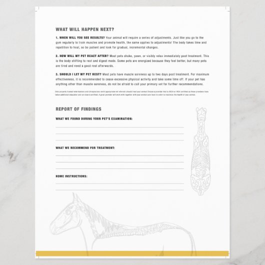 ROF-Flyer (equine) Flyer (Hinten)