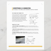 ROF-Flyer (equine) Flyer (Vorne)