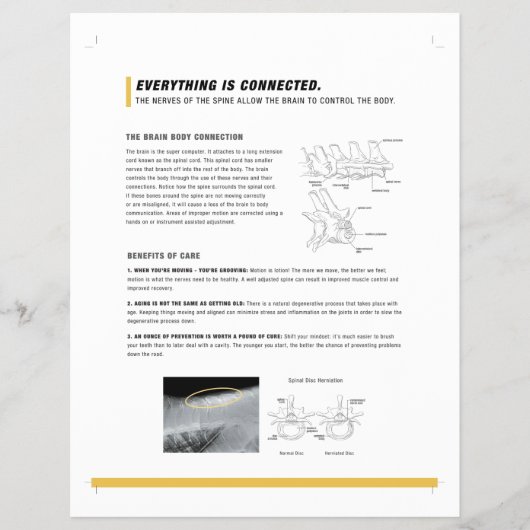 ROF-Flyer (equine) Flyer (Vorne)