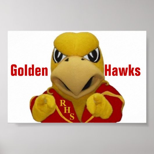 Rogers Golden Hawk Costumed Mascot Poster (Vorne)