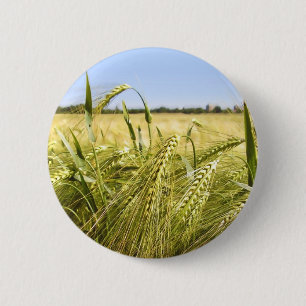 Roggenkorn Botanische Natur Button