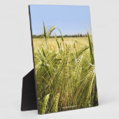 Roggenkorn Botanische Natur Fotoplatte (Seite)